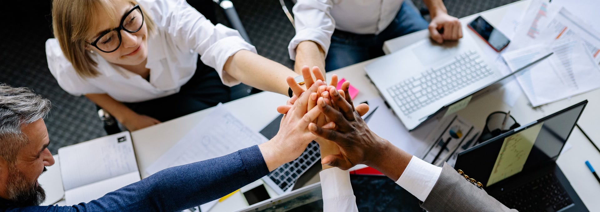 Business team cooperation and shared development