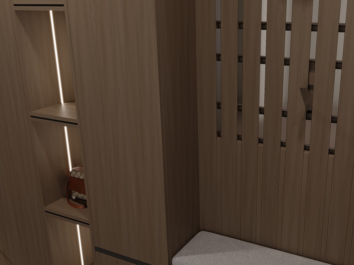 Modern entrance foyer