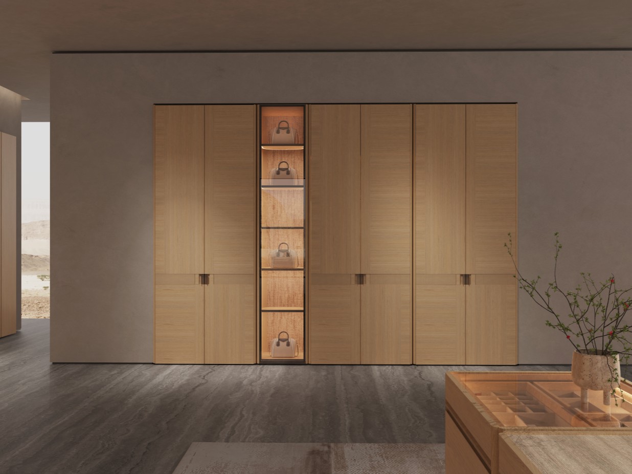Modern New Chinese Closet System