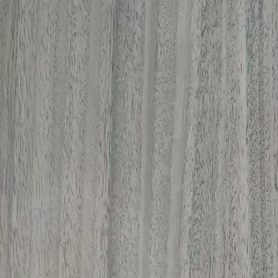 Gray Eucalyptus