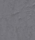 Bird's Eye Dark