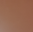 Coral Orange